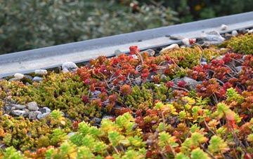 the cost of Forge Side green roof installation