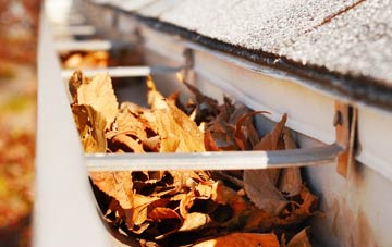 Forge Side gutter cleaning companies