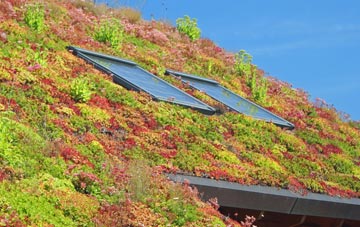 Forge Side living roof systems