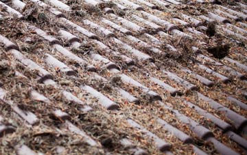 Forge Side roof cleaning companies