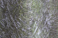 Forge Side fibreglass roof work