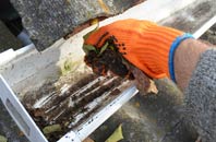 rated Forge Side gutter cleaning companies