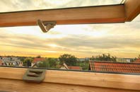 rated Forge Side roof window companies